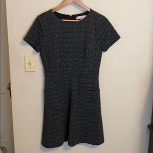 Ann Taylor Loft dress
